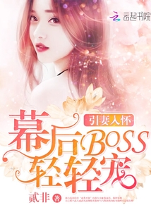 引妻入怀：幕后BOSS轻轻宠