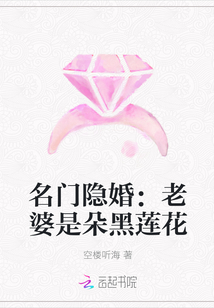 名门隐婚：老婆是朵黑莲花