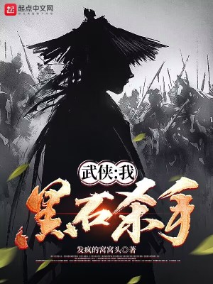 武侠：我，黑石杀手