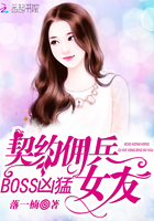 Boss凶猛：契约佣兵女友