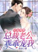 错嫁缠婚：总裁老公乖乖宠我